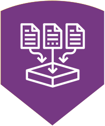 icone data violet